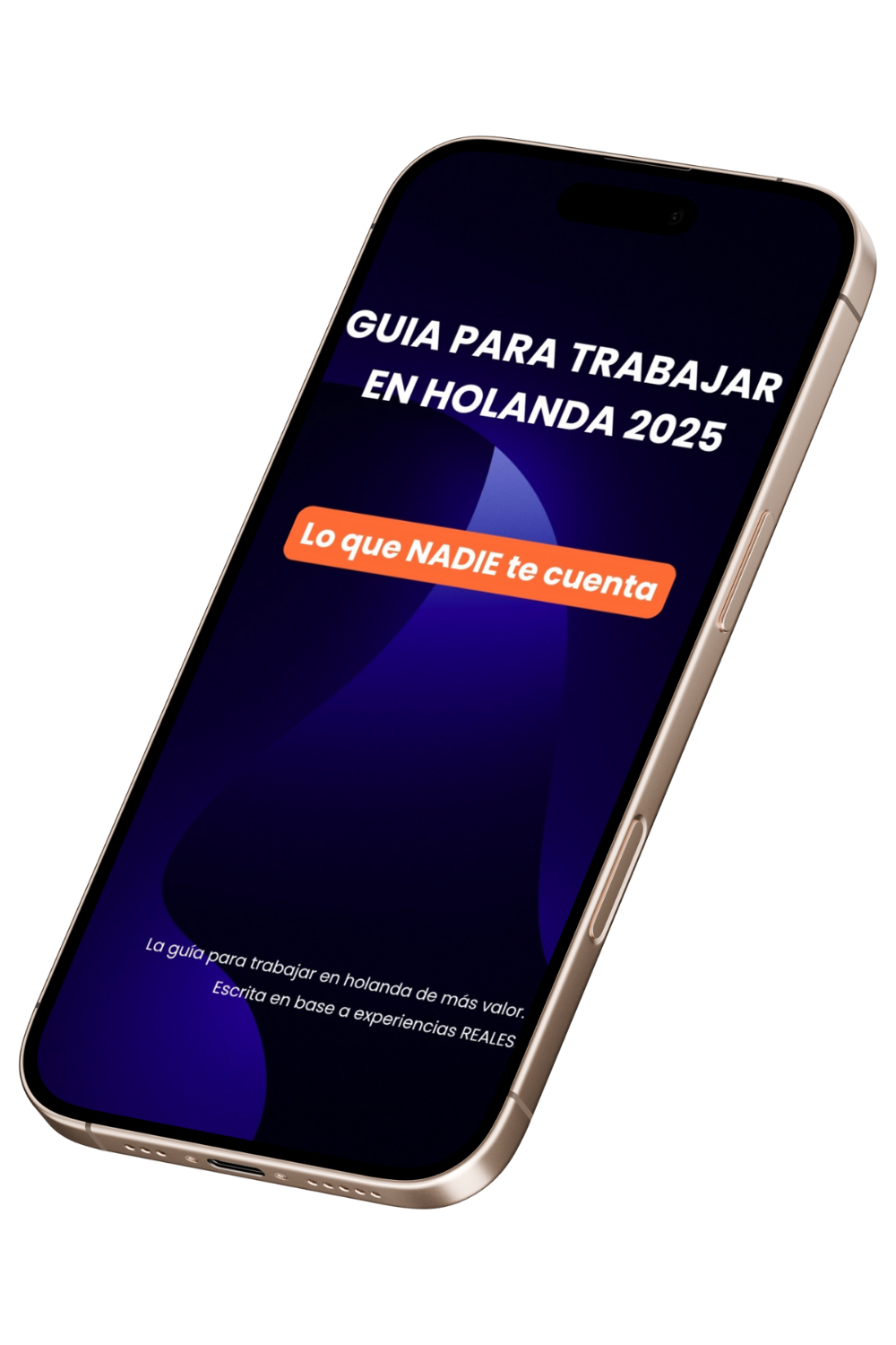 Guía Definitiva para trabajar en Holanda